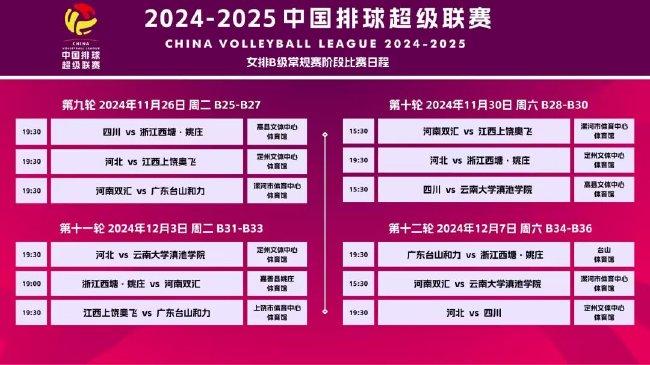 2025全年正版管家婆最新版本，全面释义与落实策略