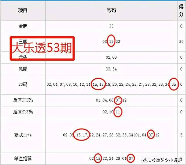 2025全年今晚澳门开什么号码，公证解答解释落实