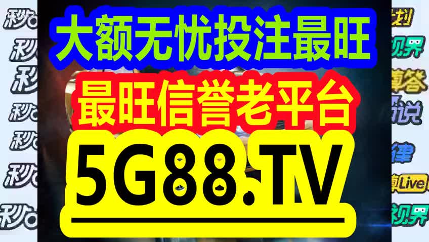 管家婆一码一肖100中奖，构建解答解释落实的智慧与策略