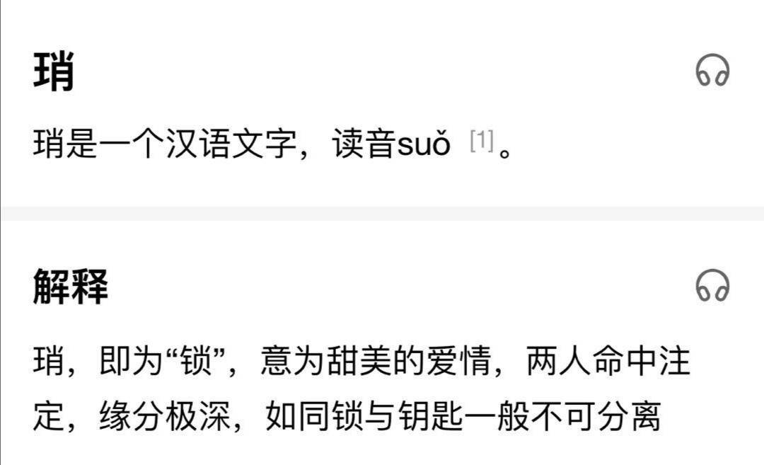 一肖一码一必中一肖，全面贯彻解释落实的智慧与实践