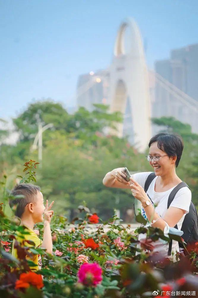 广东省趣事之城，探索岭南文化的奇妙之旅