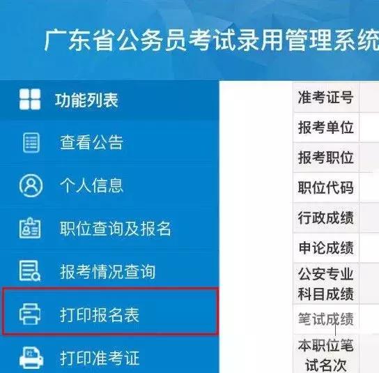 广东省考资格审核替补，深度解析与备考策略