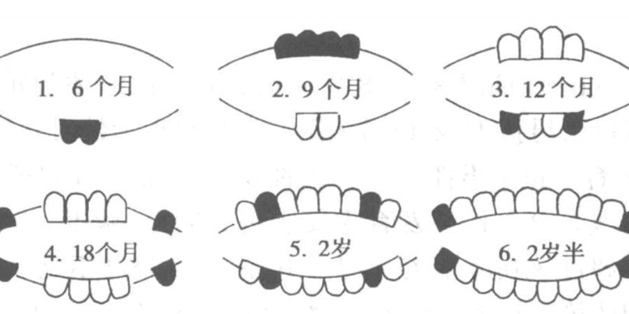 婴儿几个月长牙，全面解析与护理指南