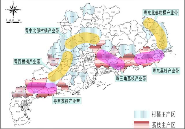 广东省肇庆茶叶产业规划